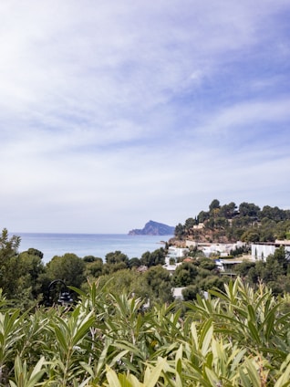 Cozy seaside home with lush greenery and the blue hills in the distance under a clear sky.