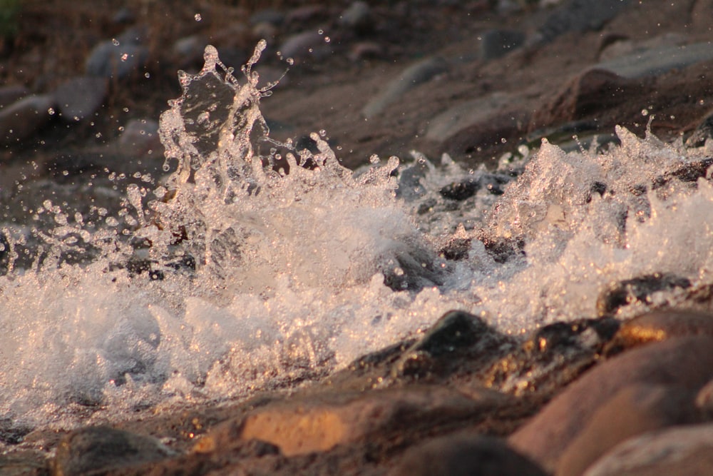 water splash on brown rock