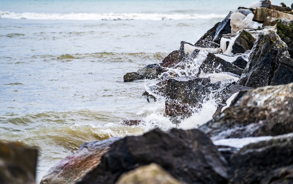 black and white rock formation on sea during daytime