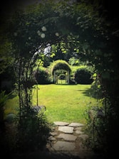 green grass and green trees