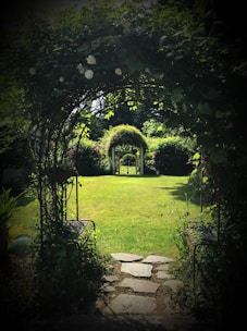 green grass and green trees