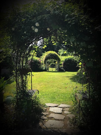 green grass and green trees