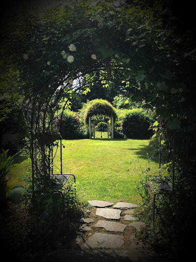 green grass and green trees