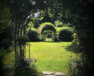 green grass and green trees