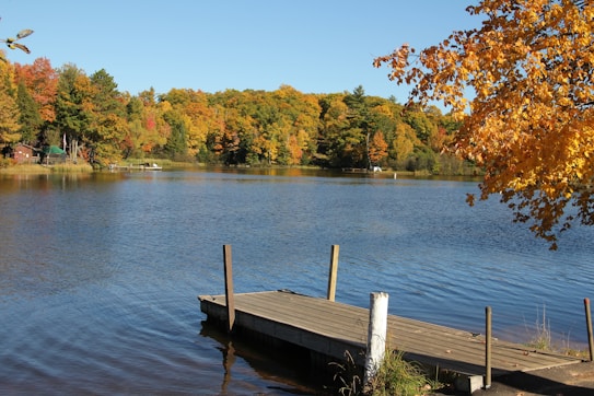 A serene lake is surrounded by a forest in full autumn colors, with vivid yellows, oranges, and reds. A wooden dock extends into the clear blue water, with calm ripples reflecting the sky and nearby lush foliage. Trees with bright orange leaves frame the scene, emphasizing the peaceful, natural setting.