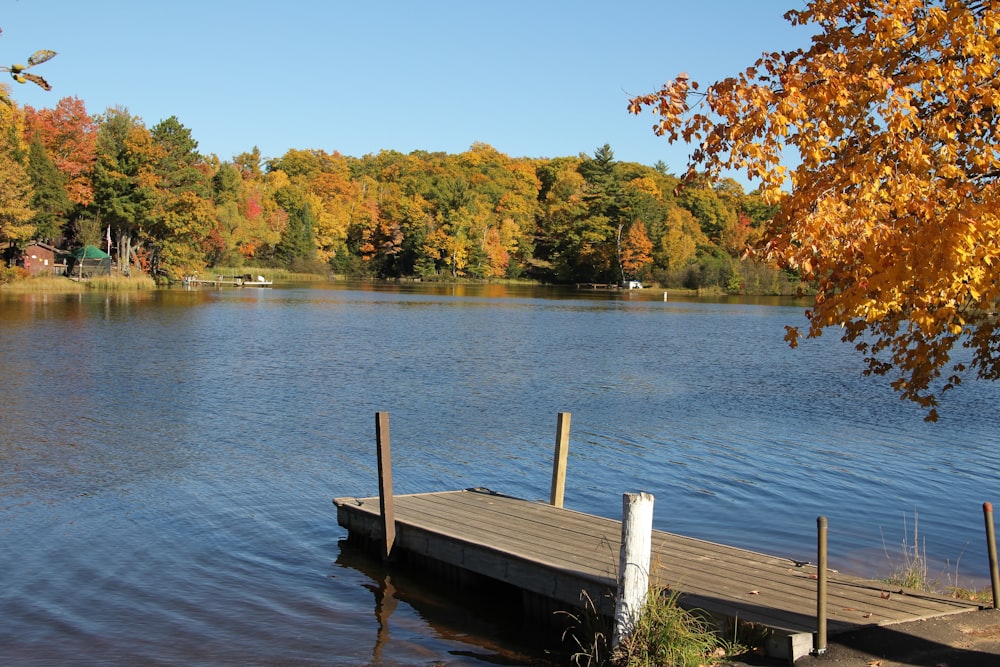 brown wooden dock on lake during daytime