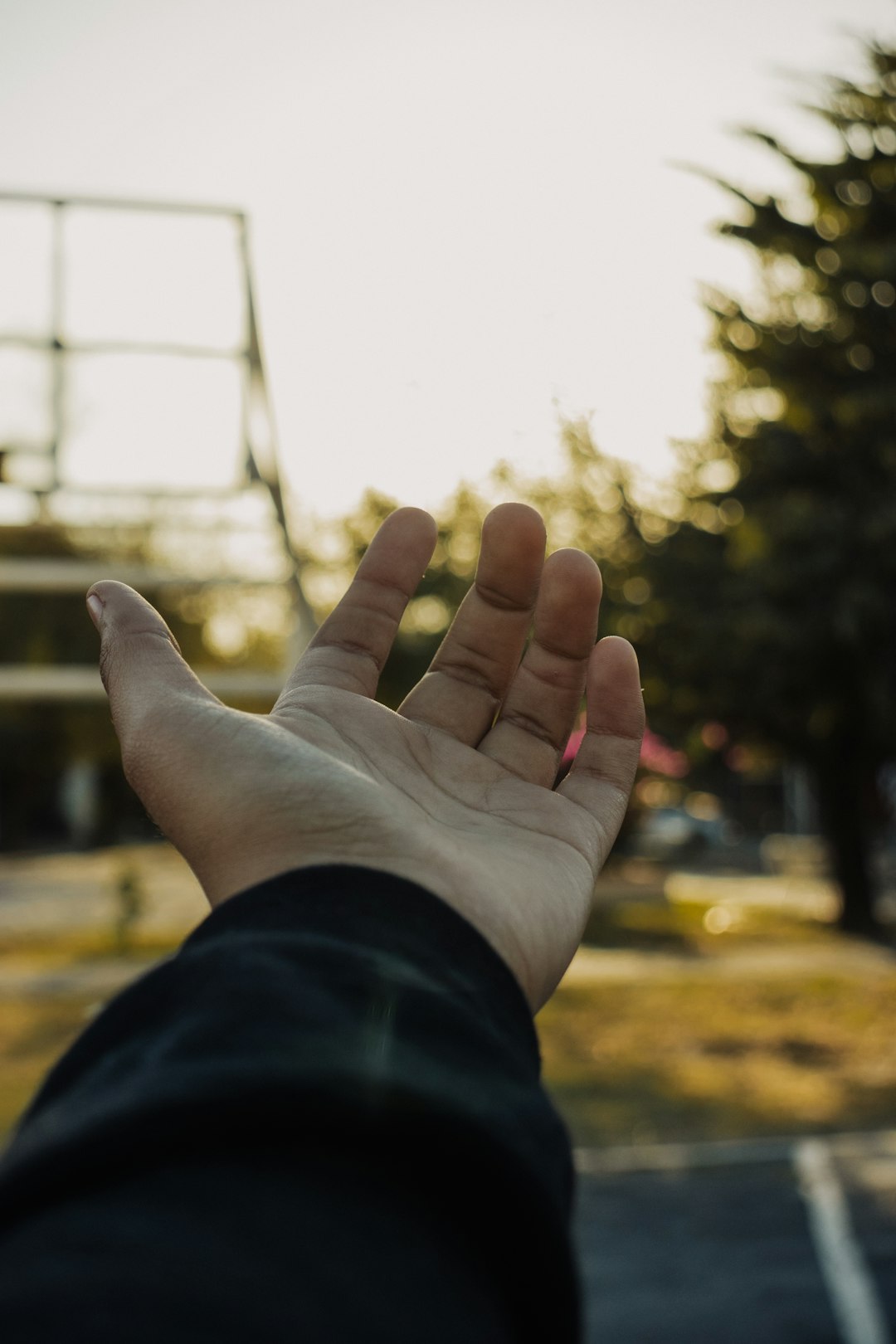 person in black long sleeve shirt showing left palm