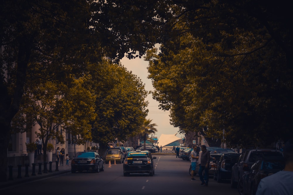 cars parked on side of the road during daytime