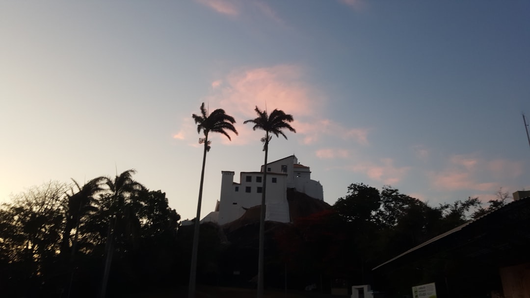 silhouette of trees and building during sunset