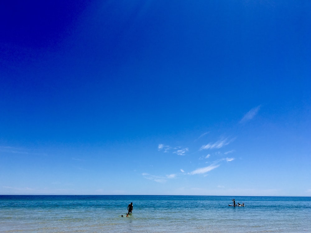 2 people standing on beach during daytime