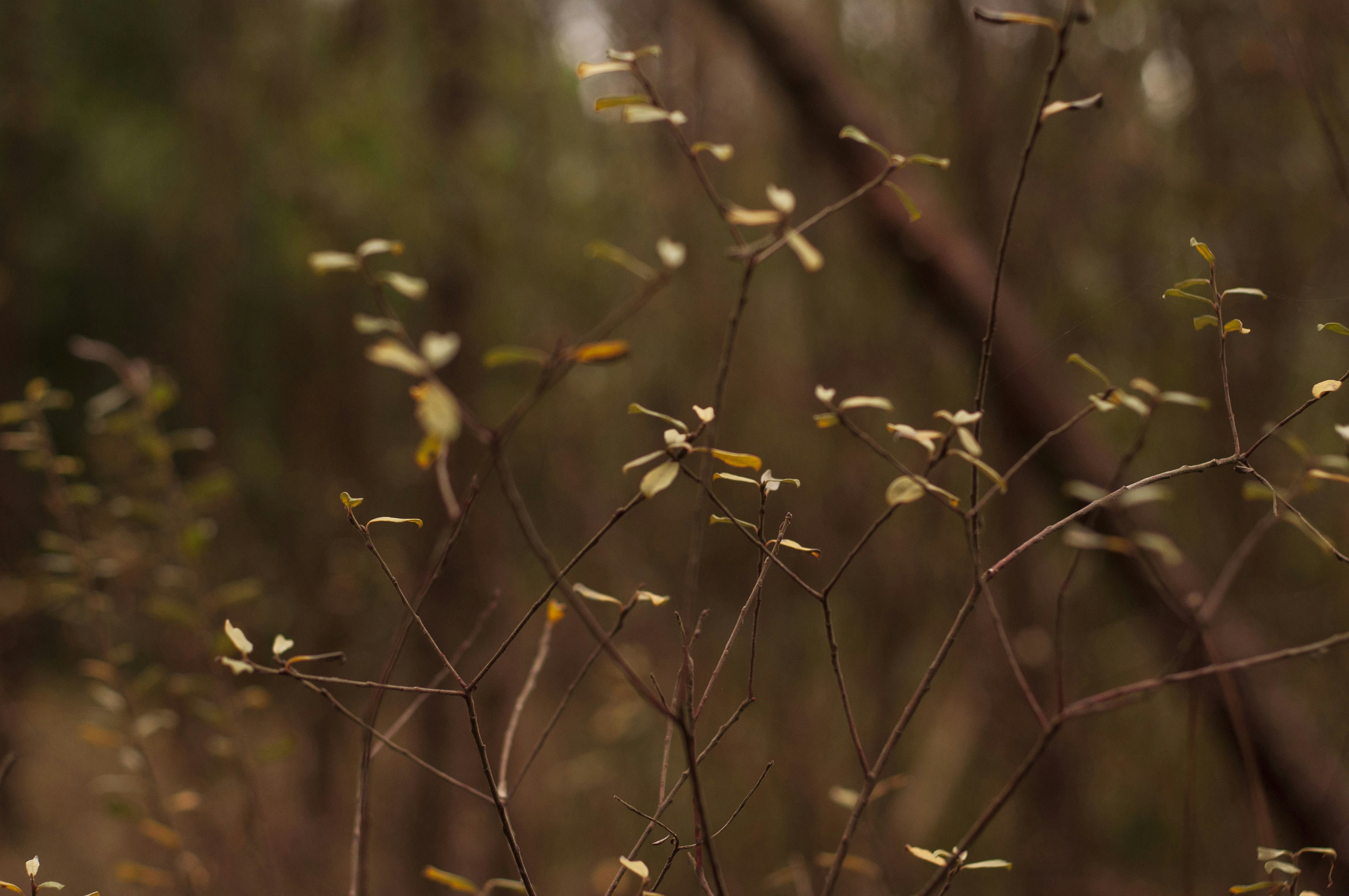 Photo by mariamiguelcardeiro