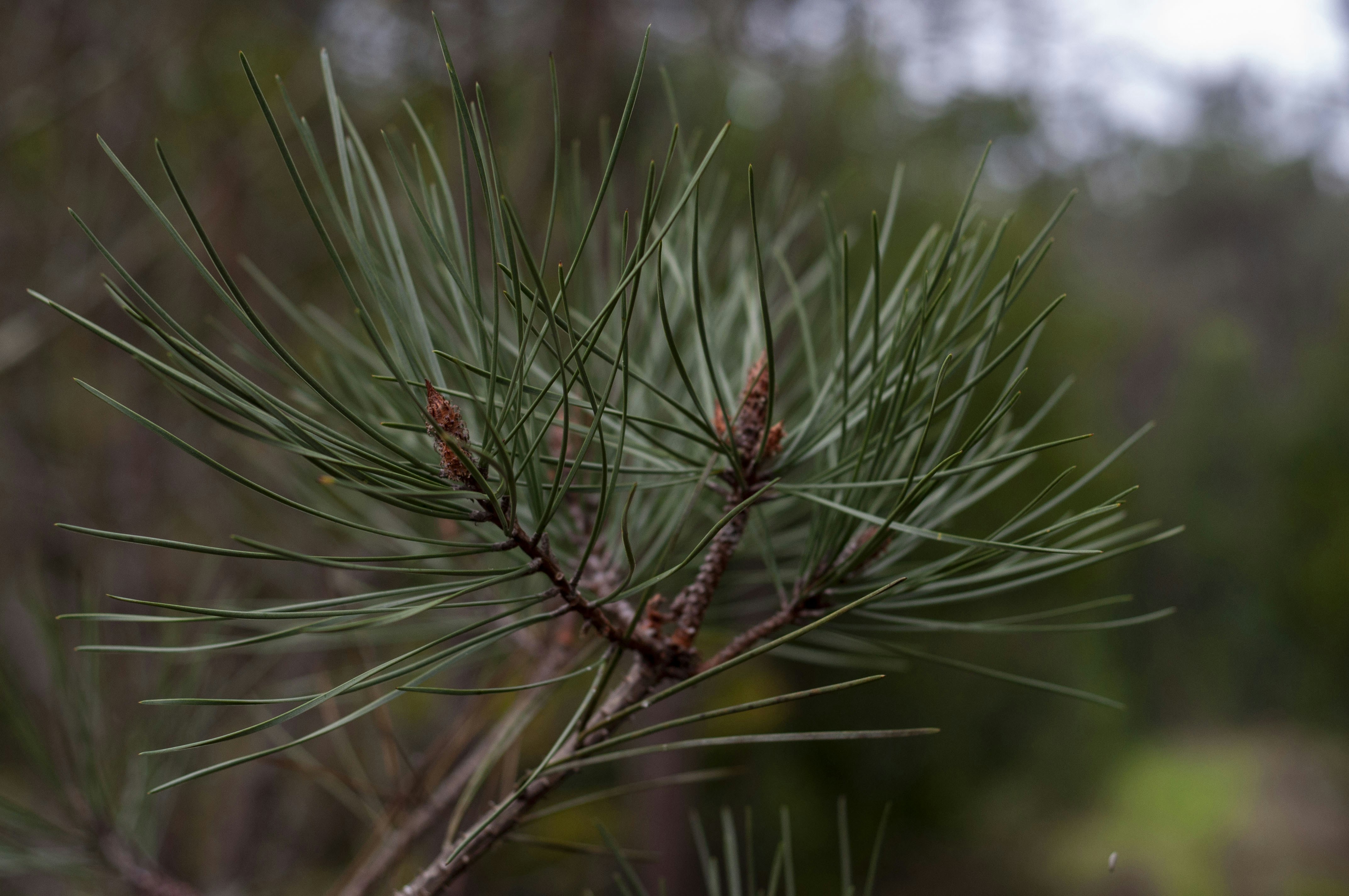 Photo by mariamiguelcardeiro