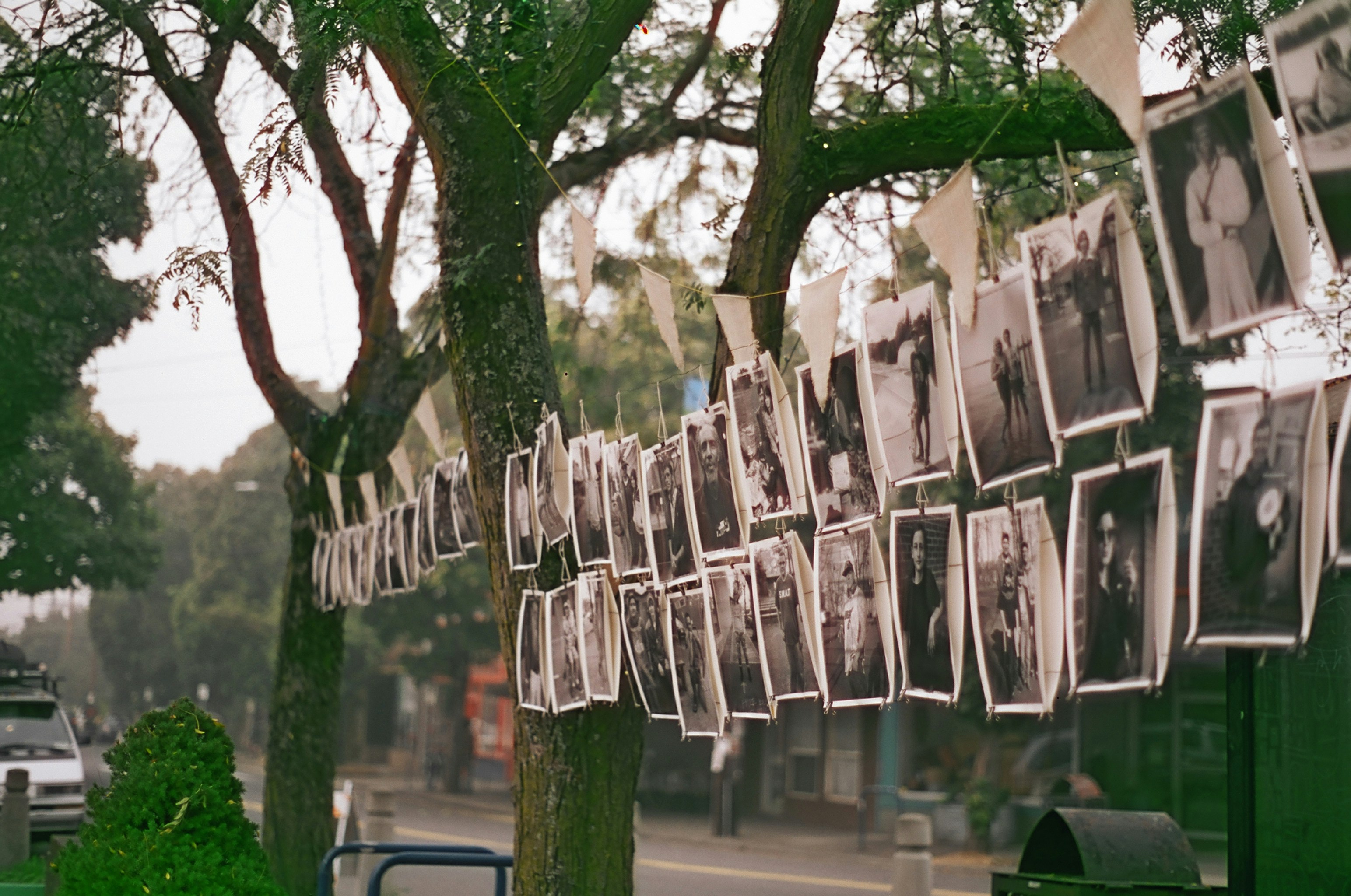 white wooden hanging decor on green tree