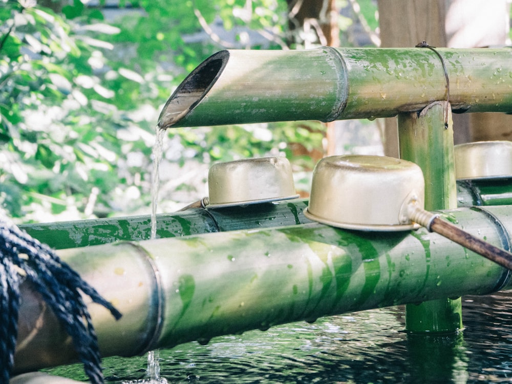Pipa de bambú verde en el agua