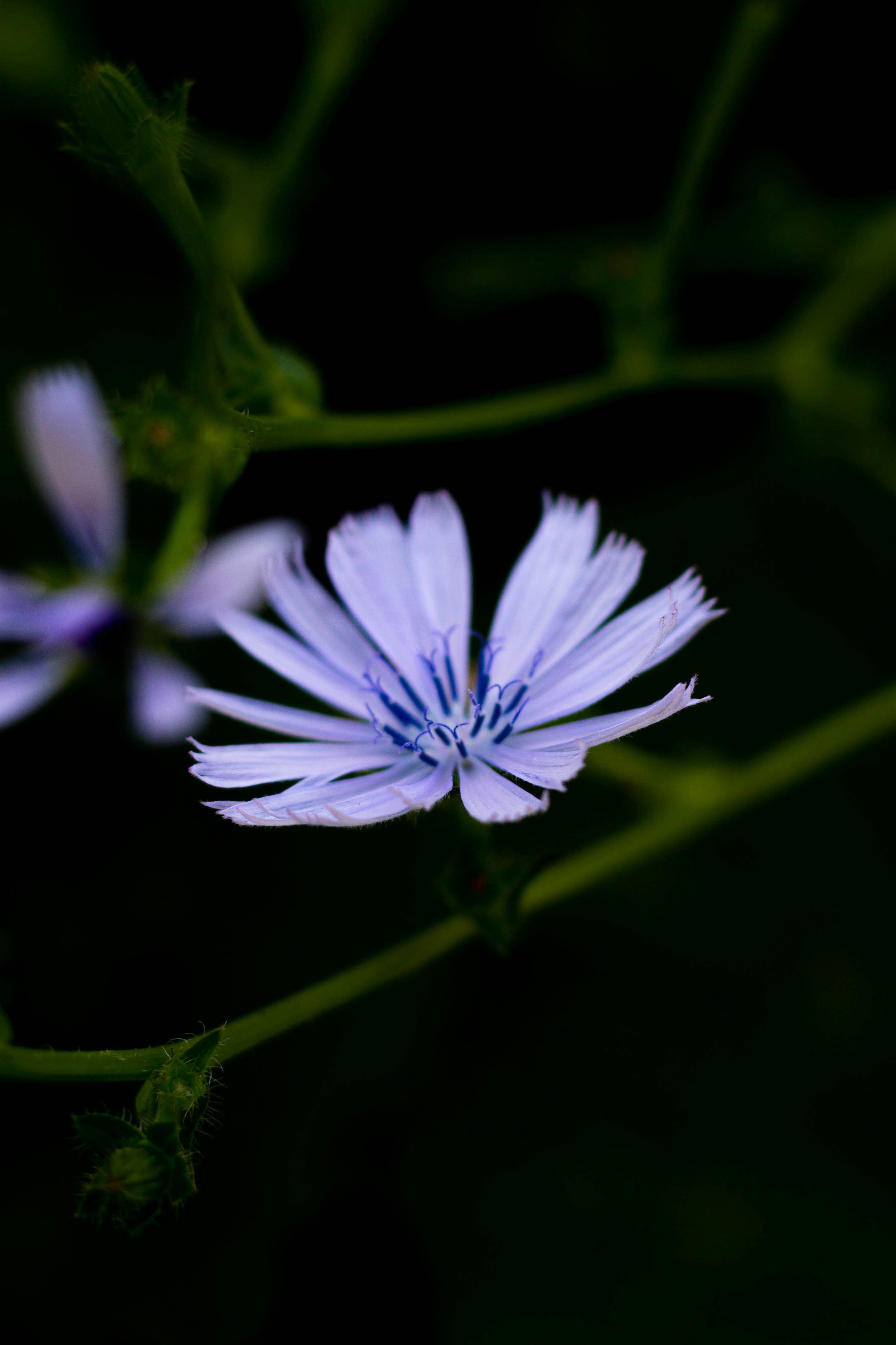 Photo by gabrieltfotografia