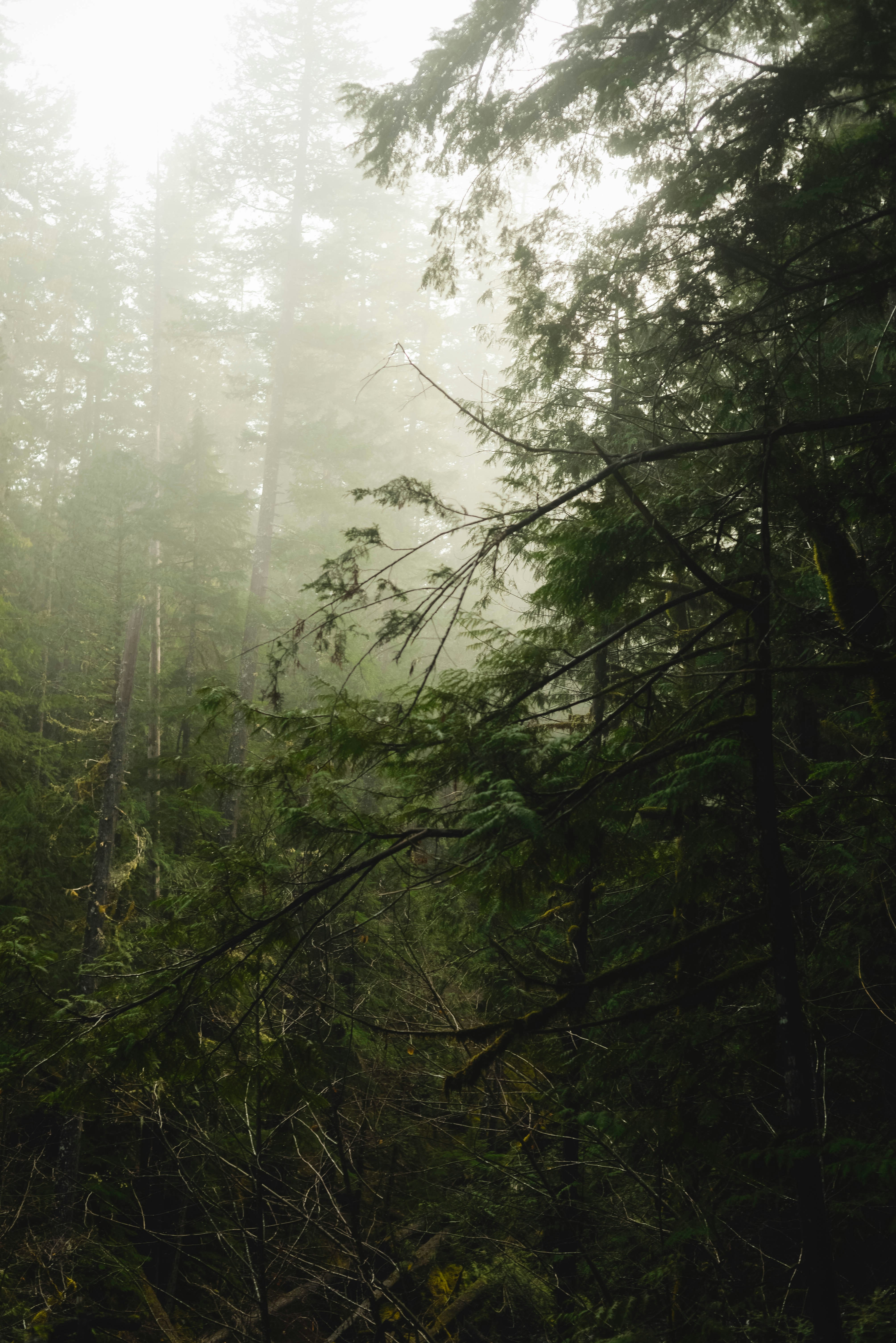 Photo by lorencutler