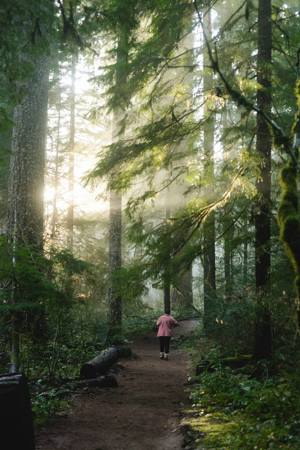 person in red jacket and black pants sitting on rock in the middle of forest during