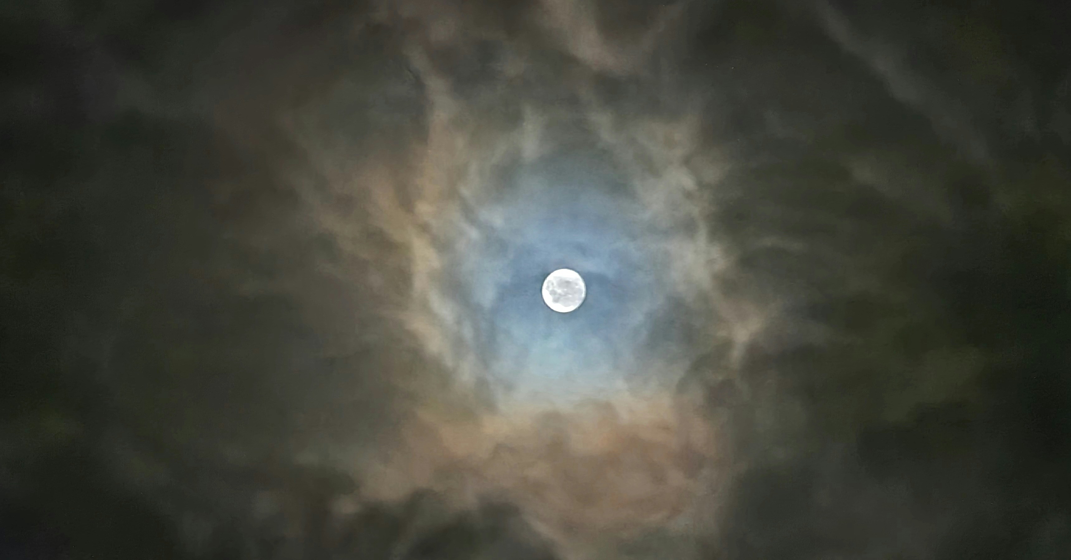 Photo by marcusdallcol