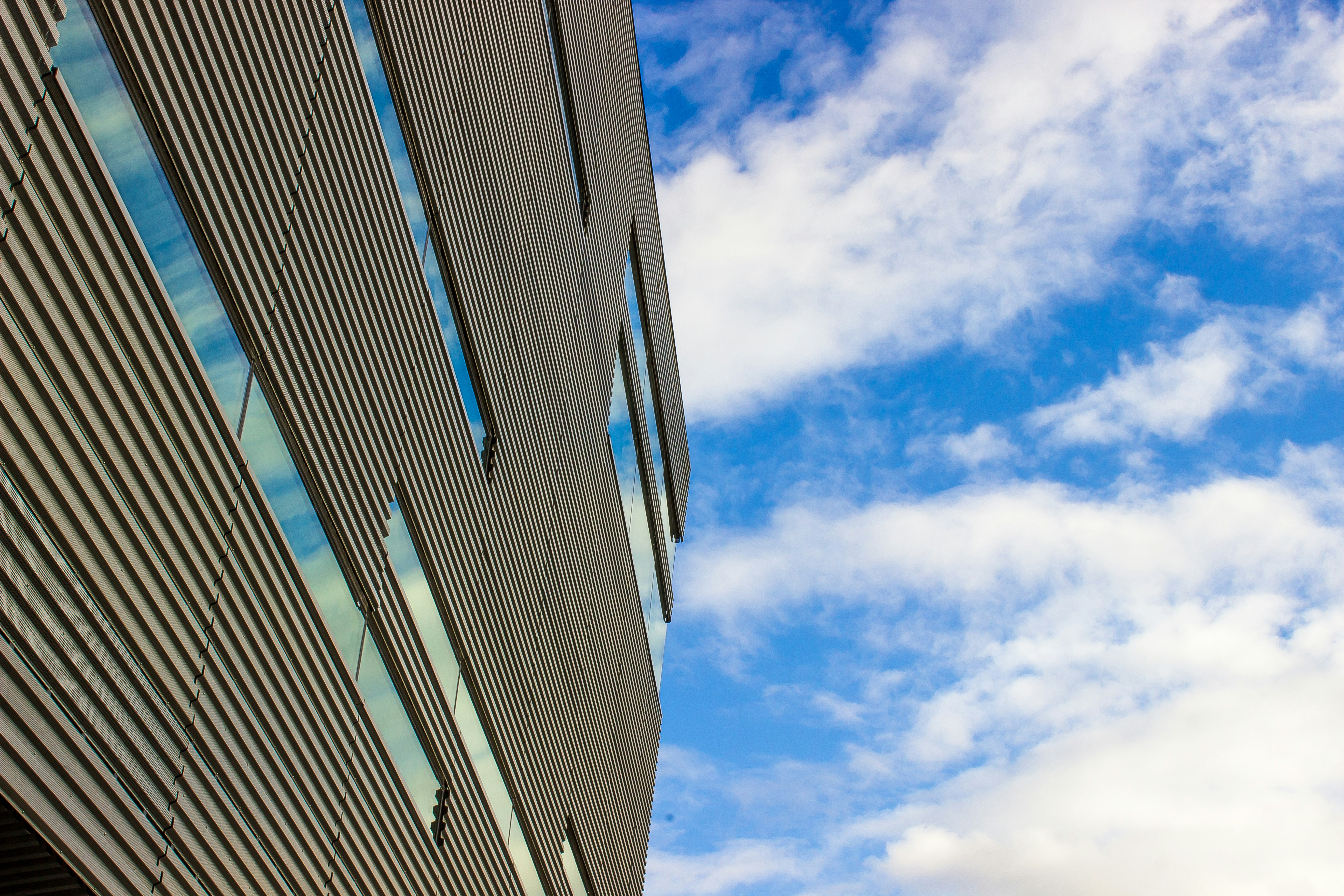 Photo by gaelan_andrade