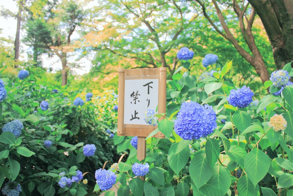 茶色の木枠に紫色の花