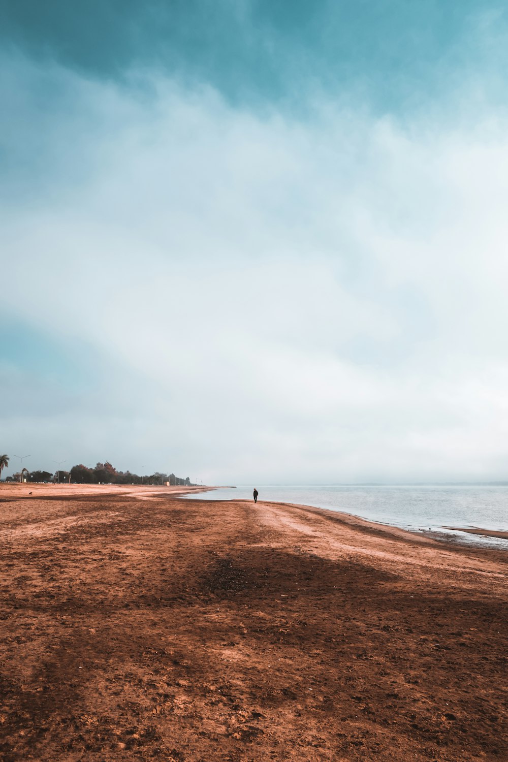 person standing on brown sand near body of water during daytime