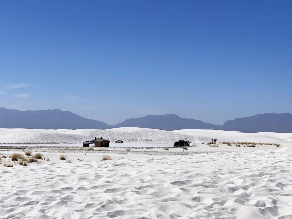 people walking on snow covered field during daytime