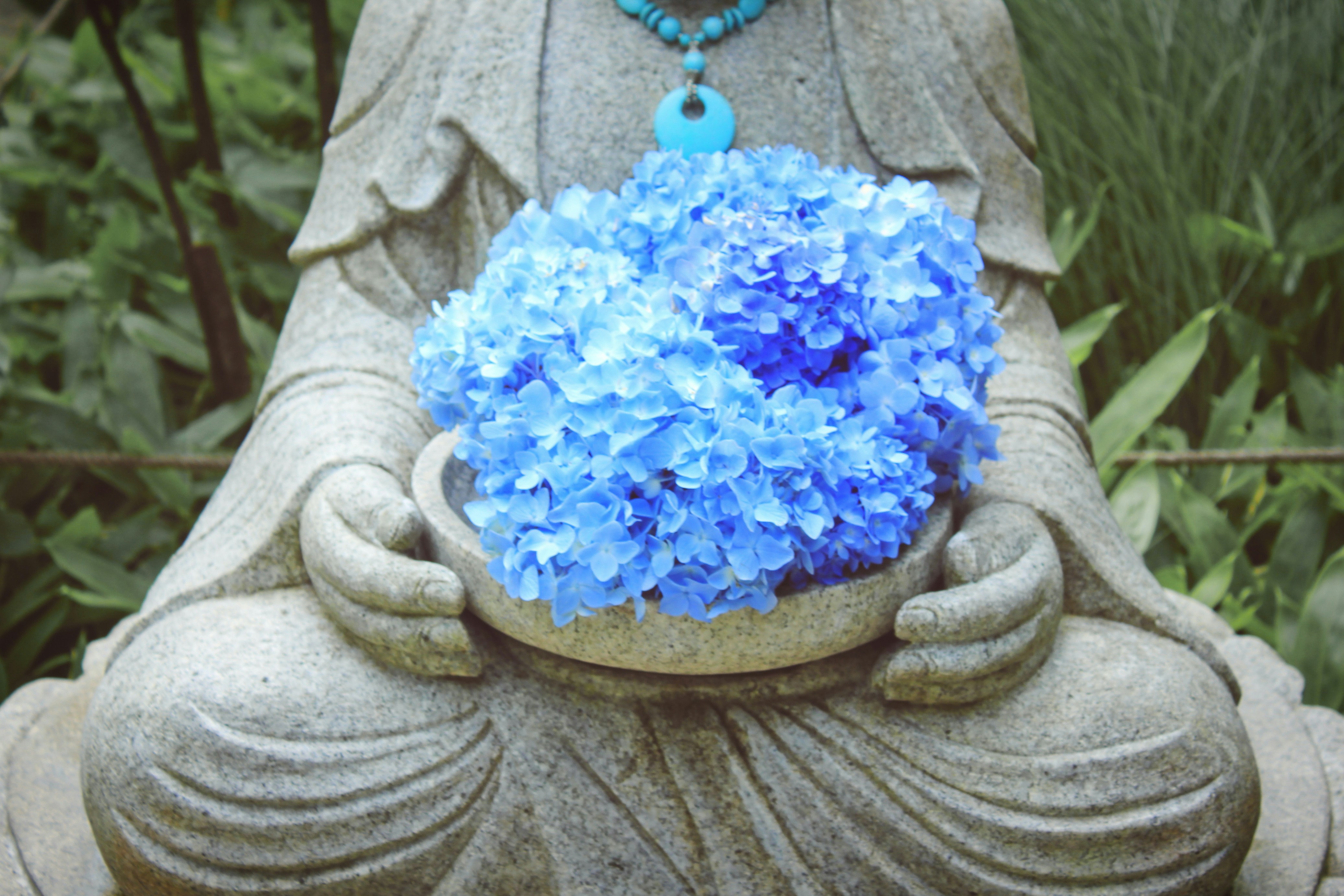 blue flowers on brown round pot