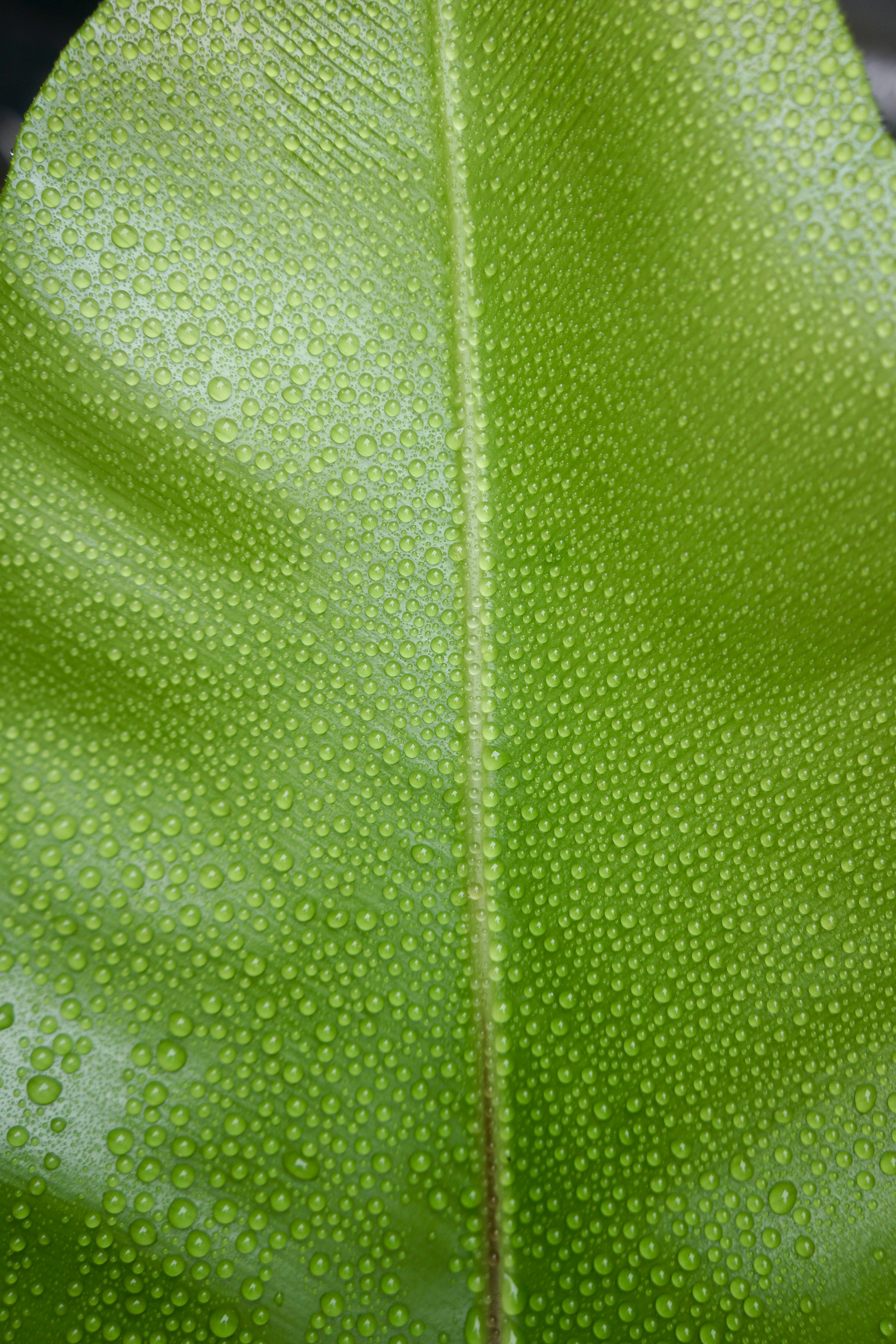 Photo by lorettarosa