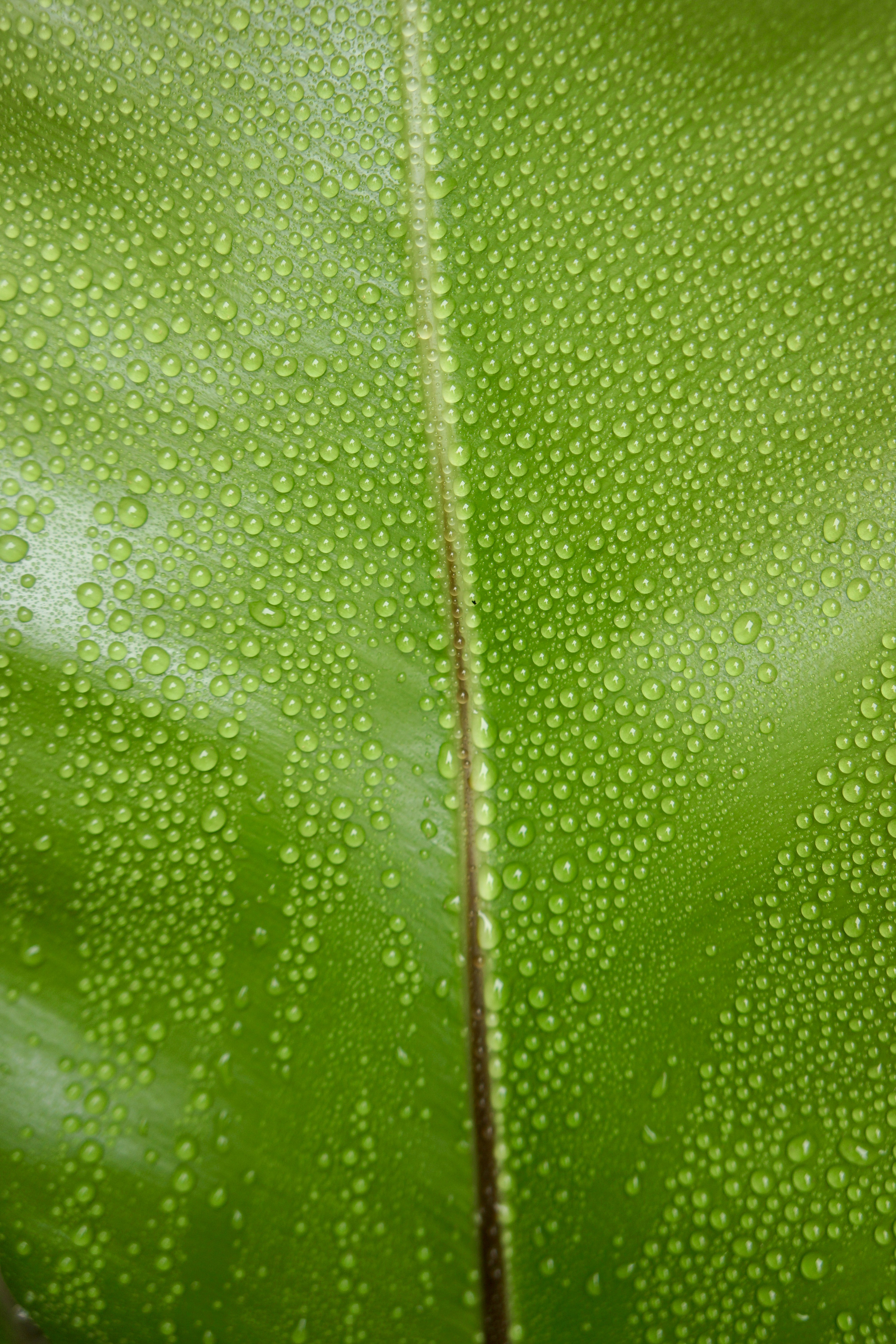 Photo by lorettarosa