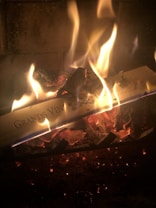 Flames engulf a piece of wood that appears to have text, creating a warm and dynamic visual scene. The wood is partially charred, and the firelight casts a glowing ambiance.