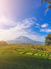 green grass field near mountain under blue sky during daytime