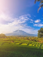 green grass field near mountain under blue sky during daytime