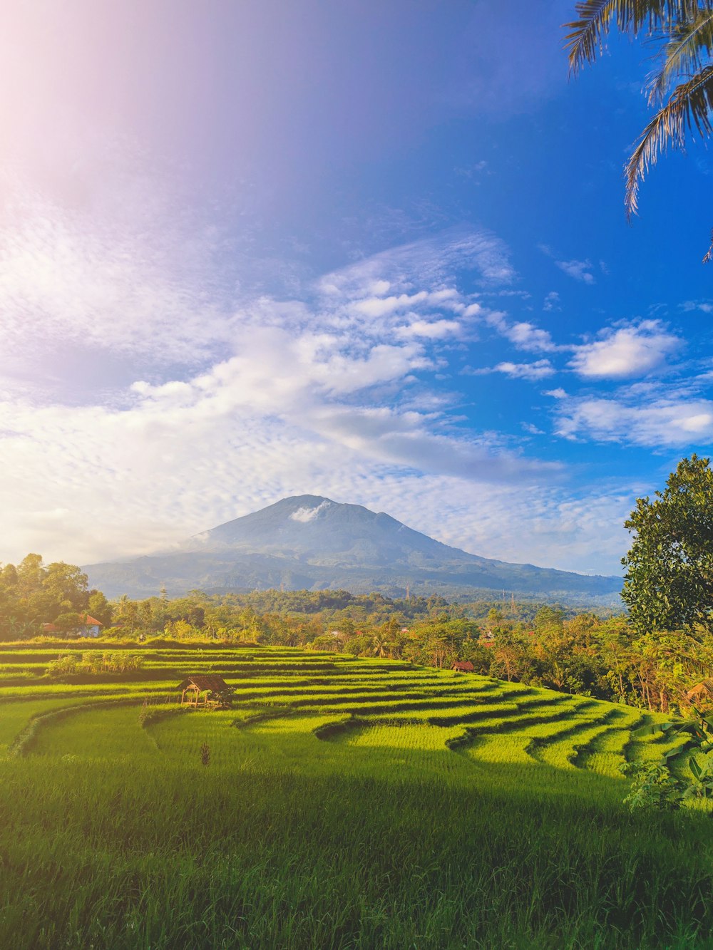 green grass field near mountain under blue sky during daytime