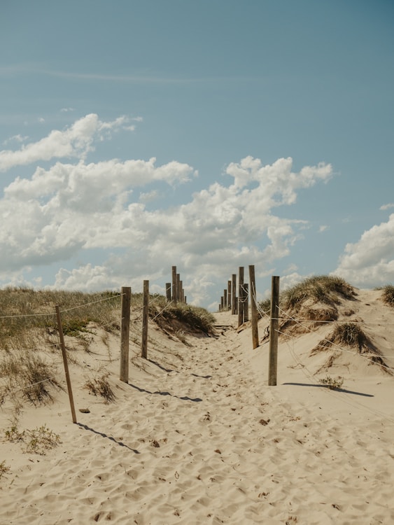 clôture en bois marron sur sable brun sous un ciel bleu et des nuages ​​blancs pendant la journée