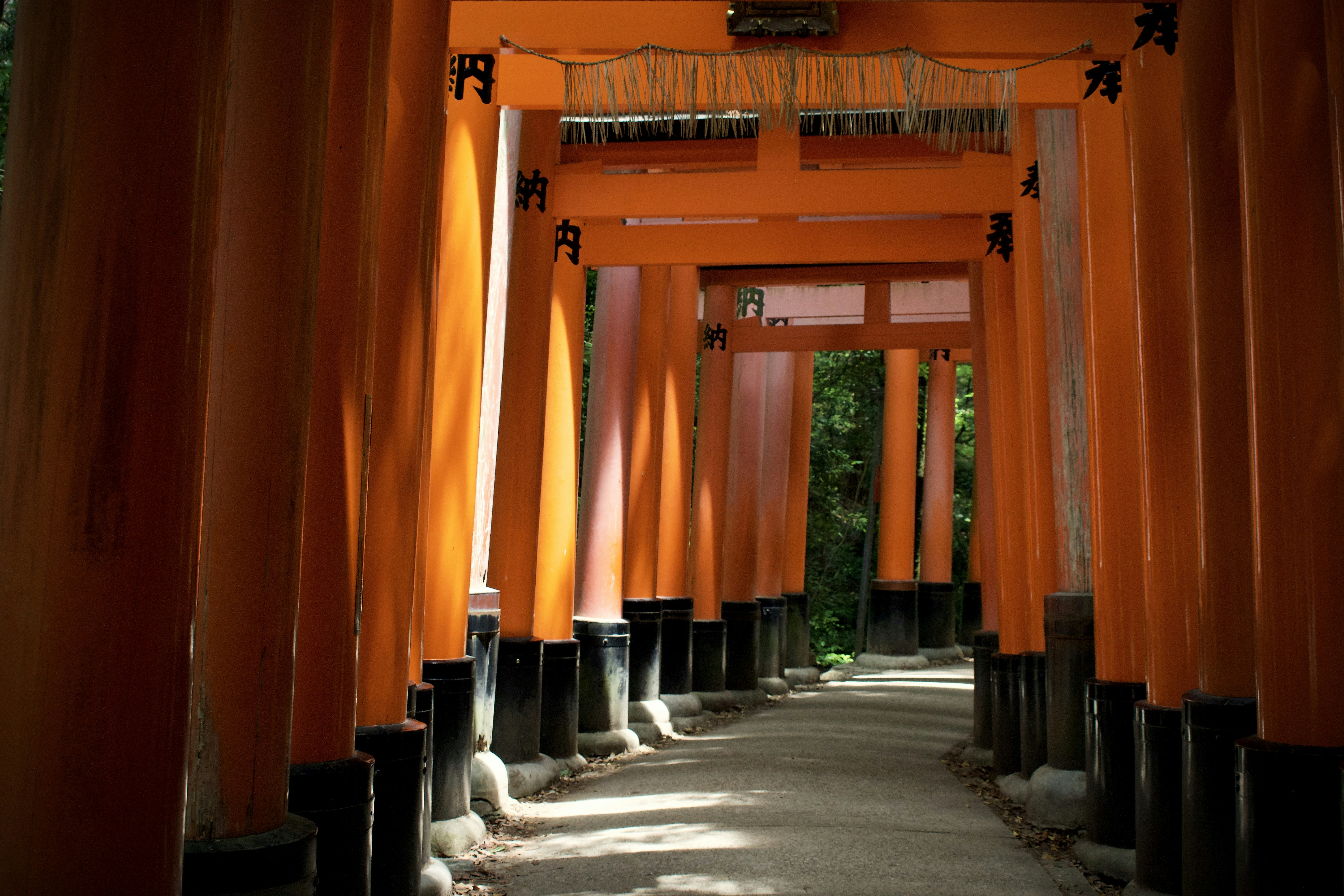 orange and black concrete building