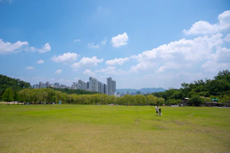 A family enjoying a sunny day at a vibrant Dubai park with city skyline in the background.