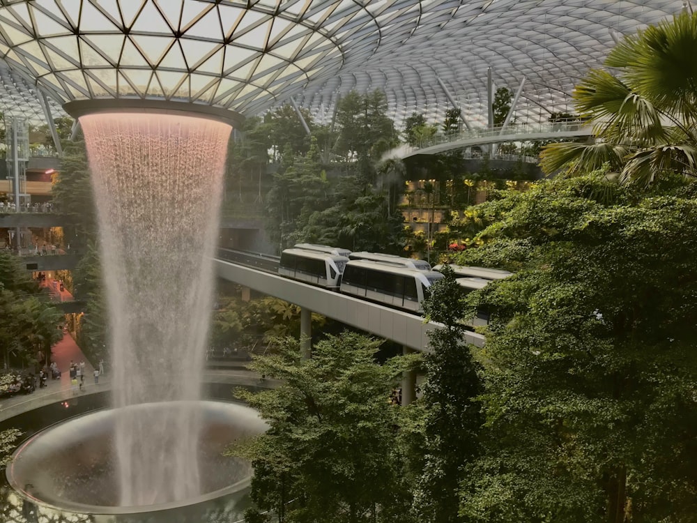 water fountain in the middle of green trees