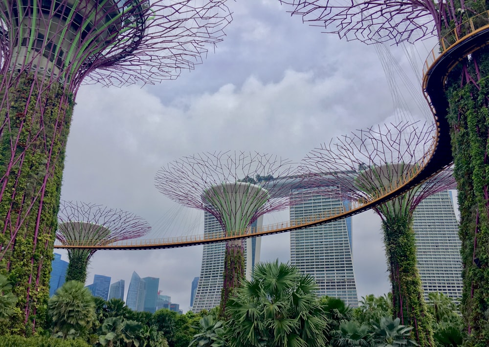 green trees near high rise buildings under white clouds during daytime