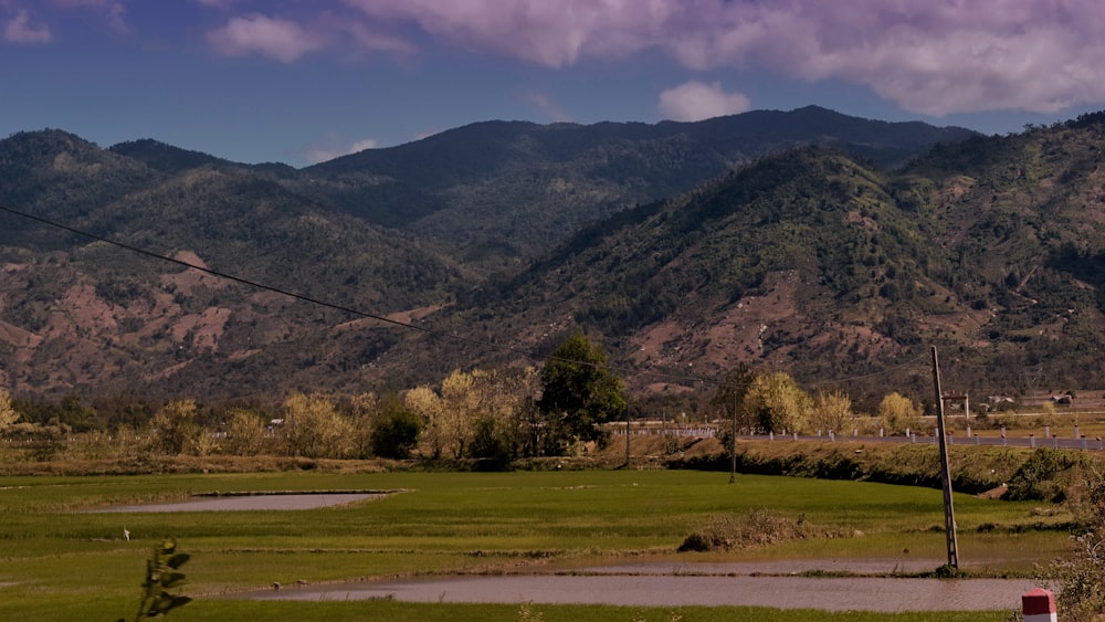 green grass field near green trees and mountain during daytime