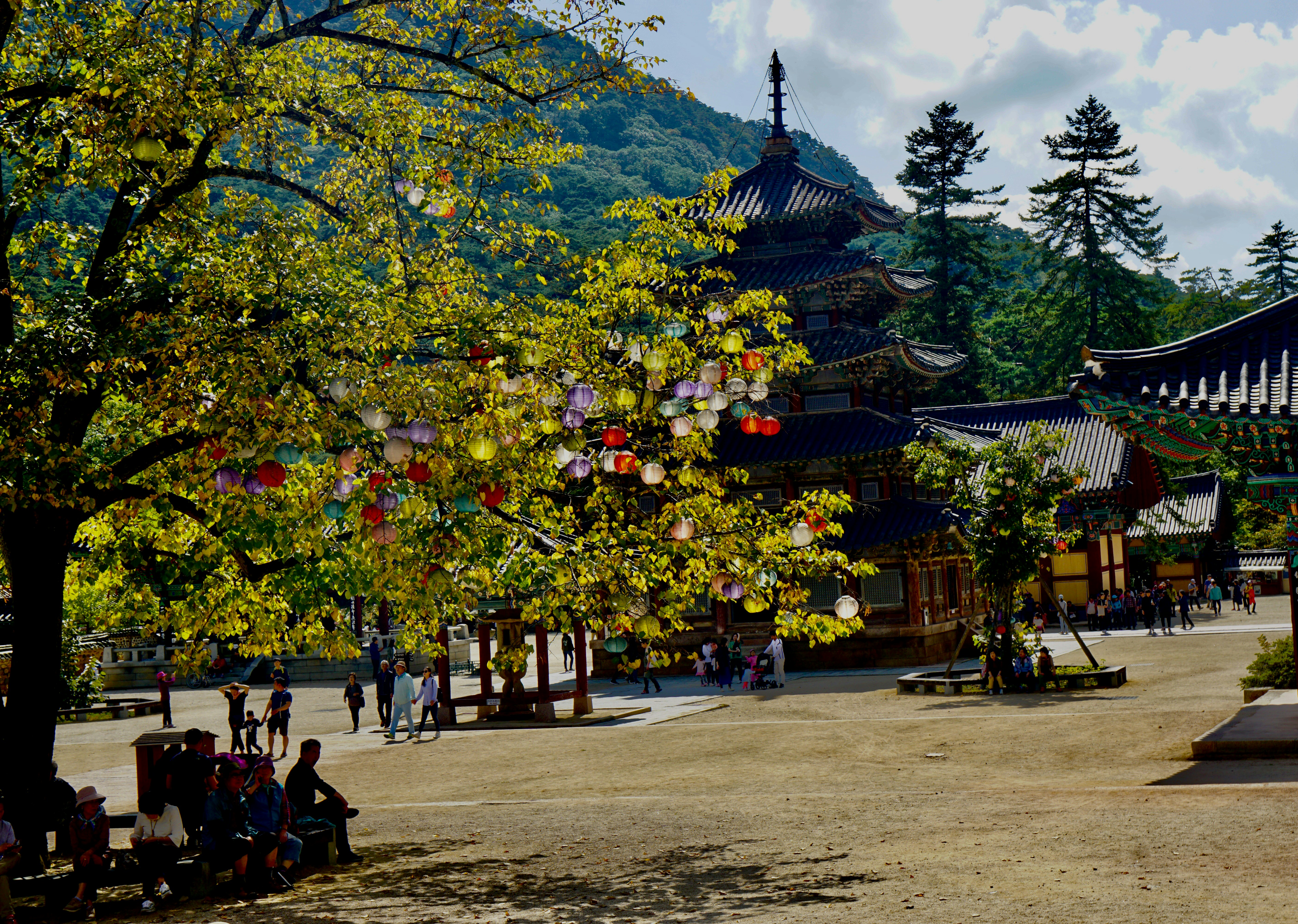 The King of Pentacles: Interpretation Guide