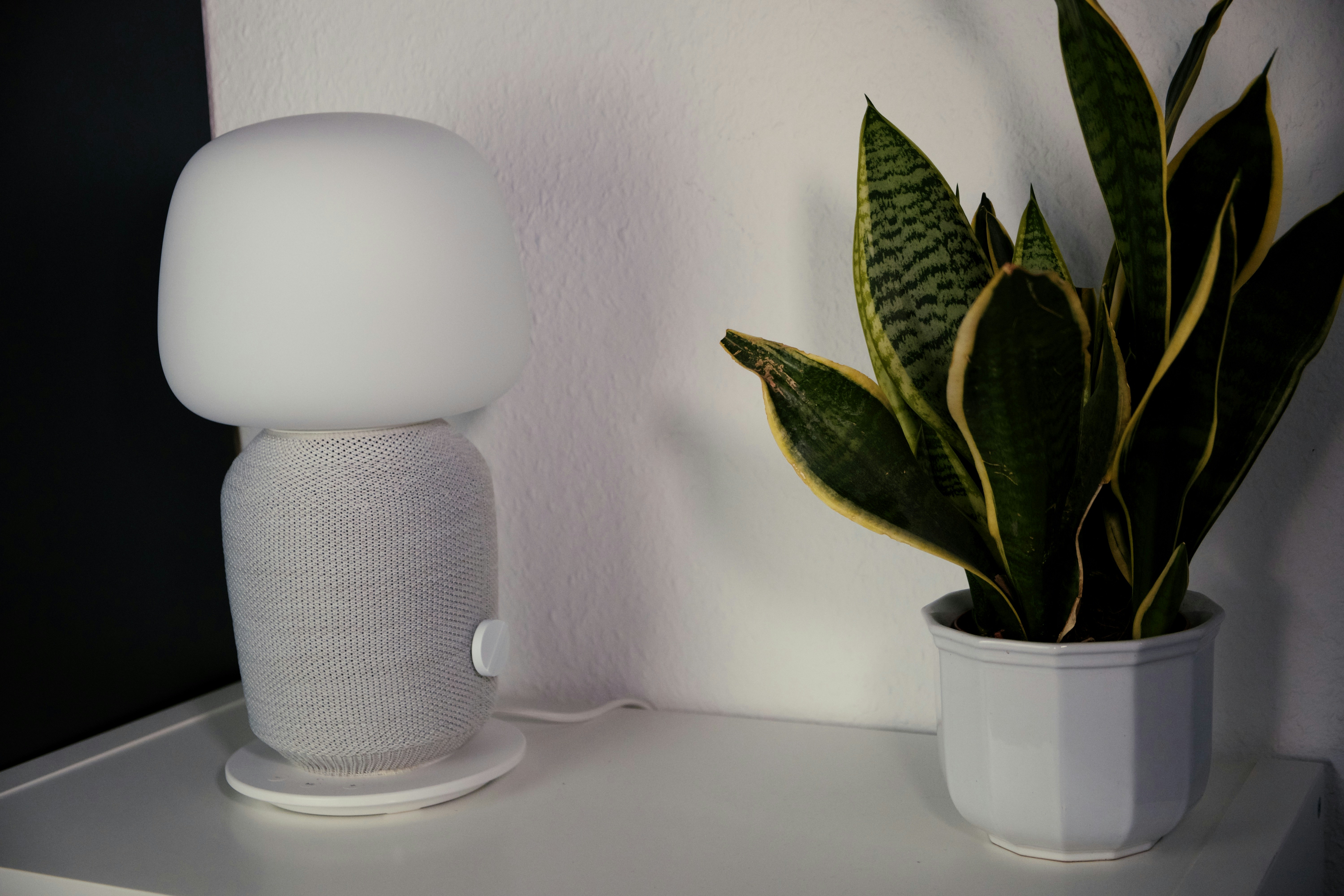 Photo by moritz_photography