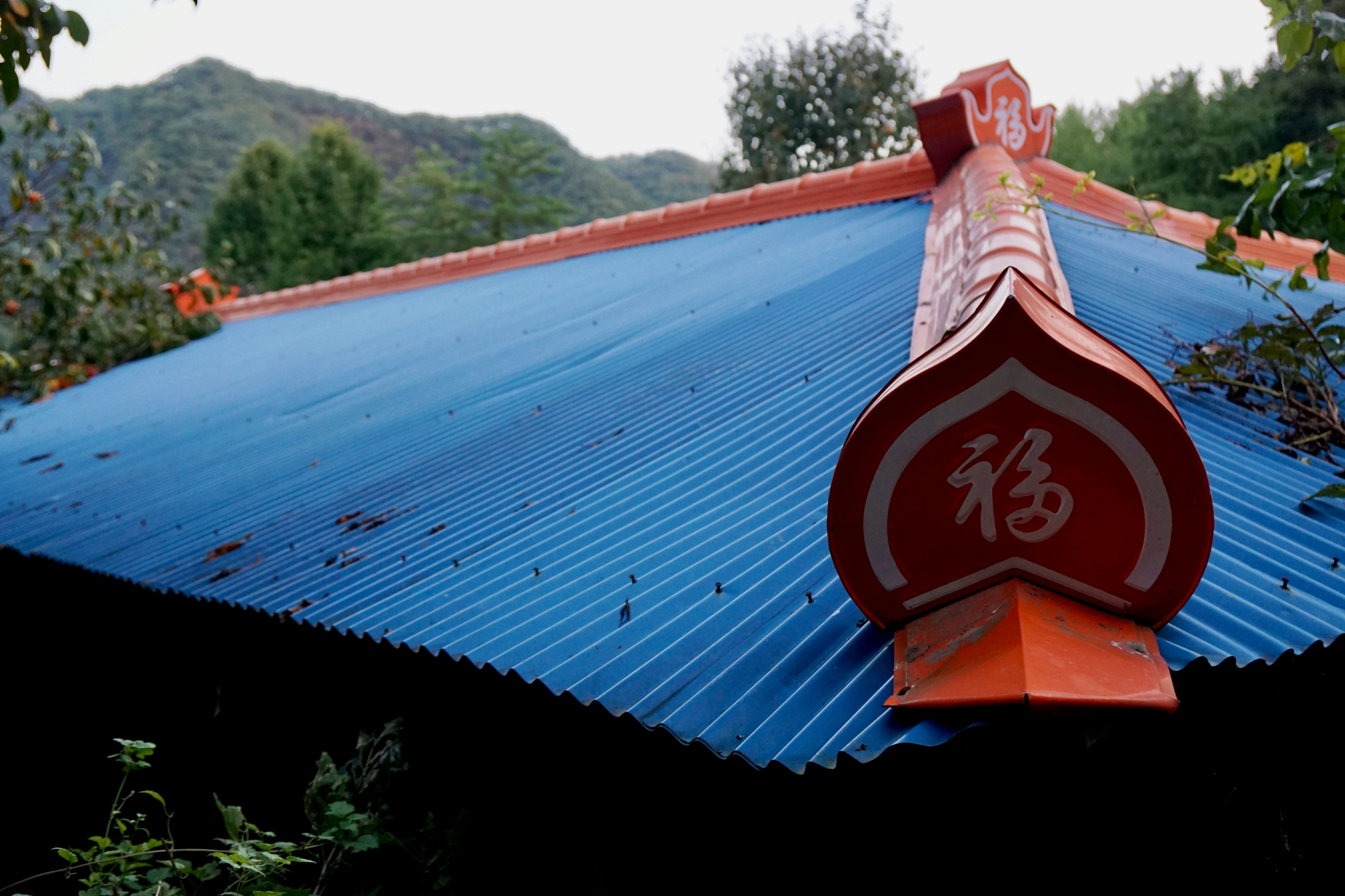 Maintaining A Metal Roof After Tile Removal In Sydney