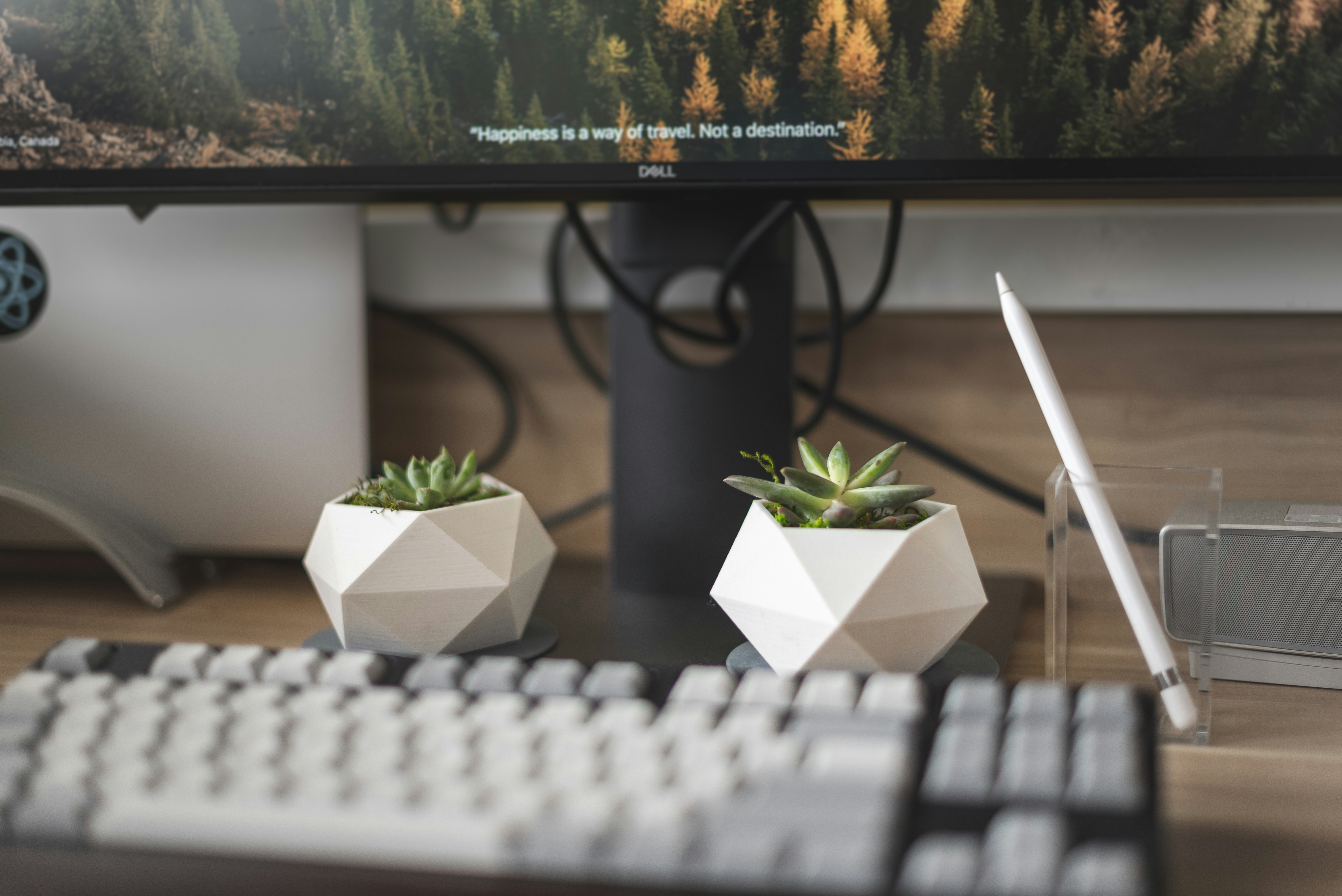 white computer keyboard near green plant