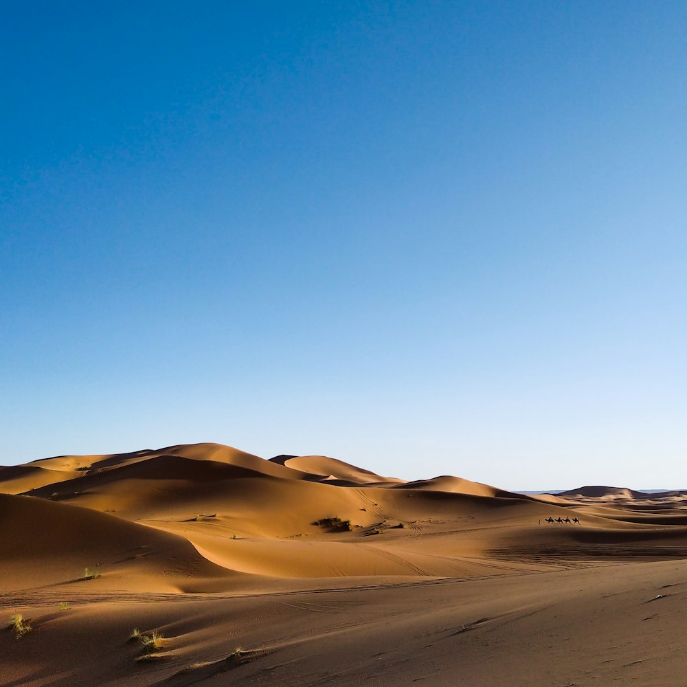 brown sand under blue sky during daytime