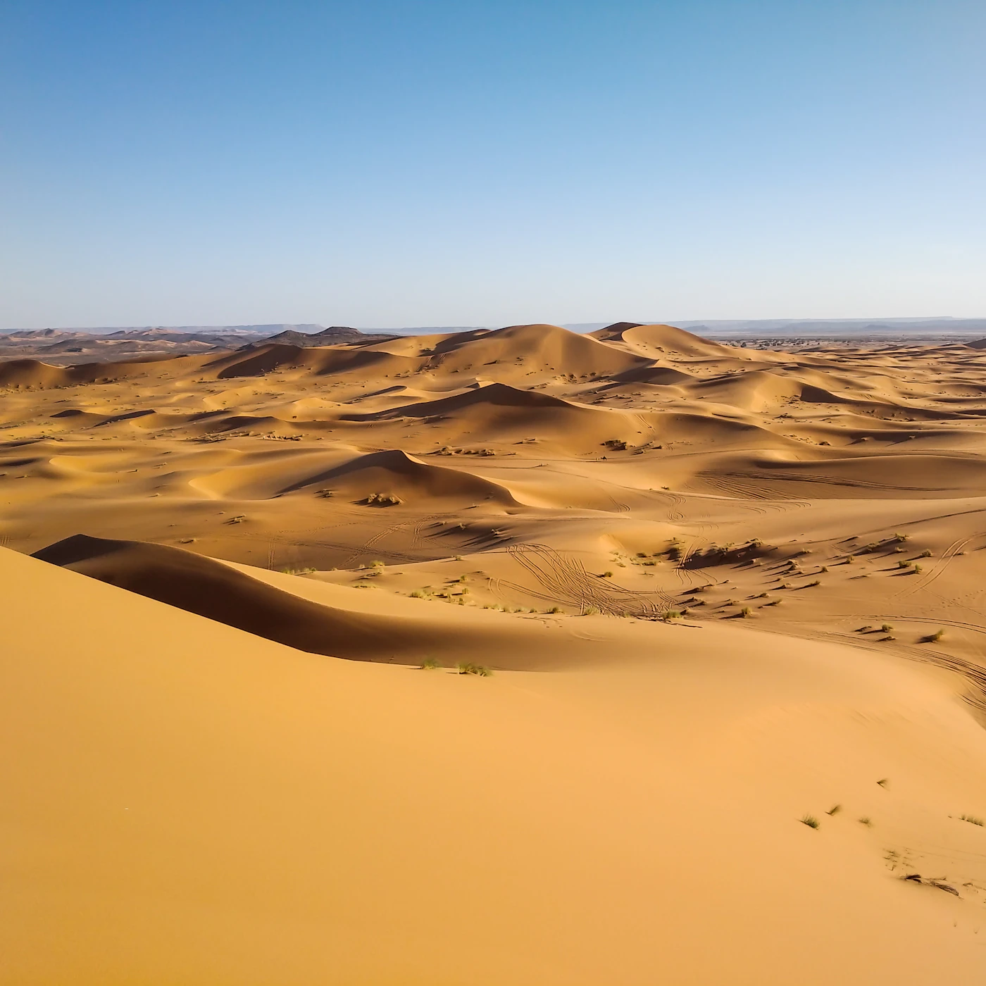 Bivouac dans le Sahara : Merzouga et Erg Chebbi