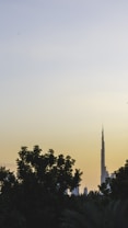 A serene cityscape featuring a prominent, tall skyscraper in the background against a smooth gradient sky, transitioning from a pale blue at the top to a soft yellow near the horizon. The foreground is dominated by a silhouette of lush, dense trees, creating a contrast between nature and urban architecture.