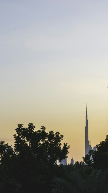 A serene cityscape featuring a prominent, tall skyscraper in the background against a smooth gradient sky, transitioning from a pale blue at the top to a soft yellow near the horizon. The foreground is dominated by a silhouette of lush, dense trees, creating a contrast between nature and urban architecture.