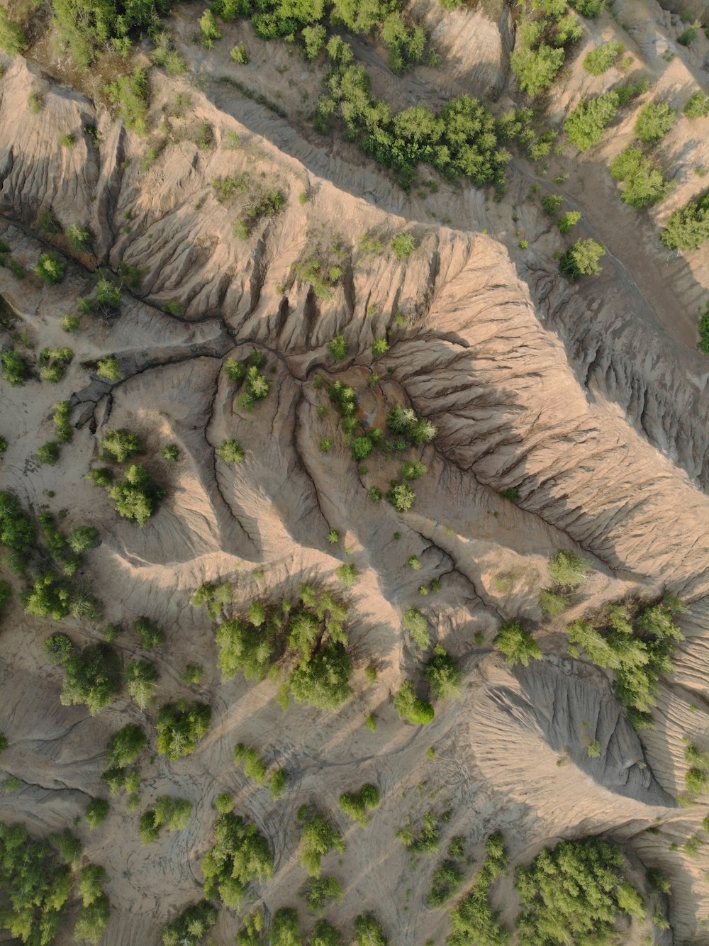 an aerial view of an area with trees and rocks
