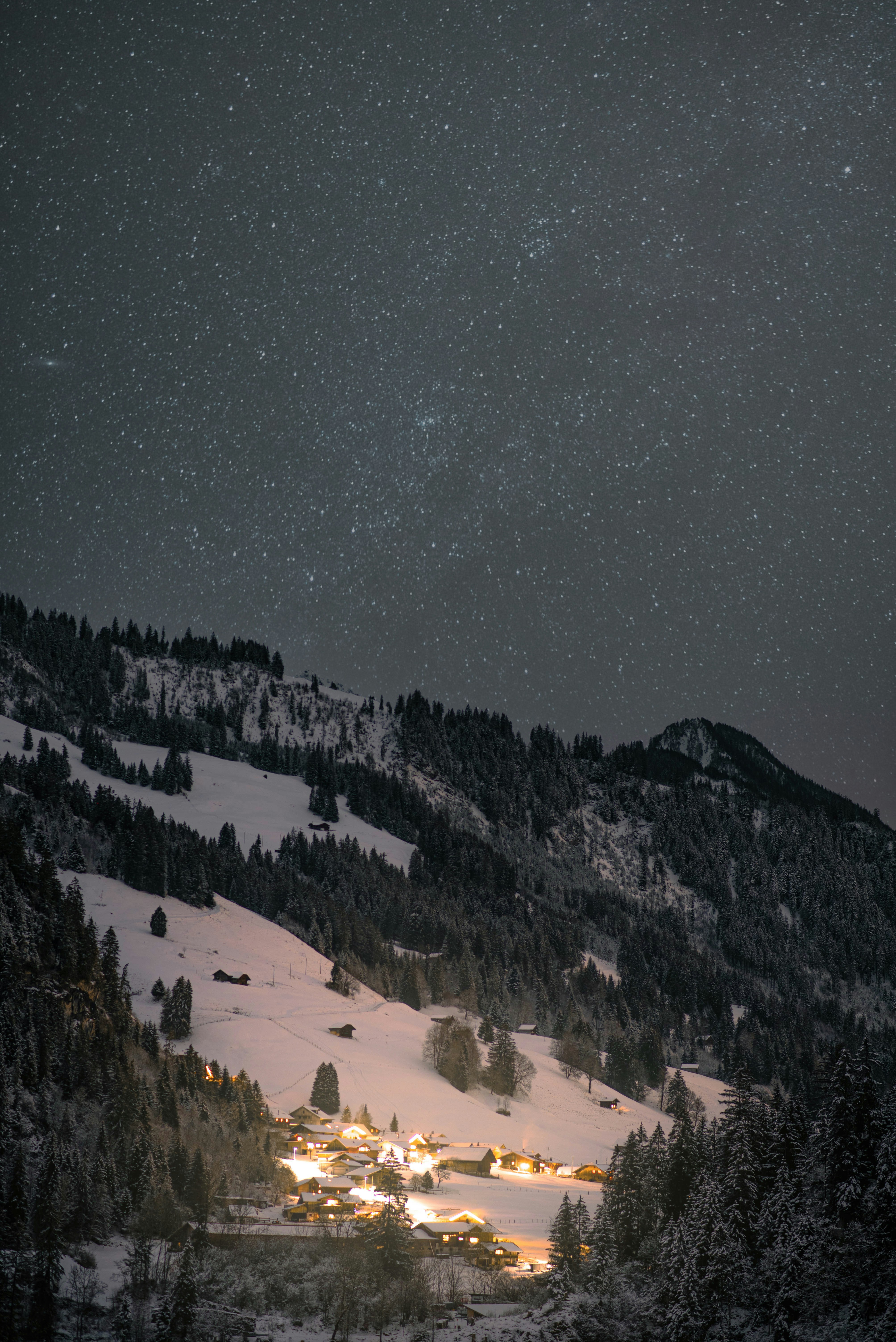 Photo by sven_pieren