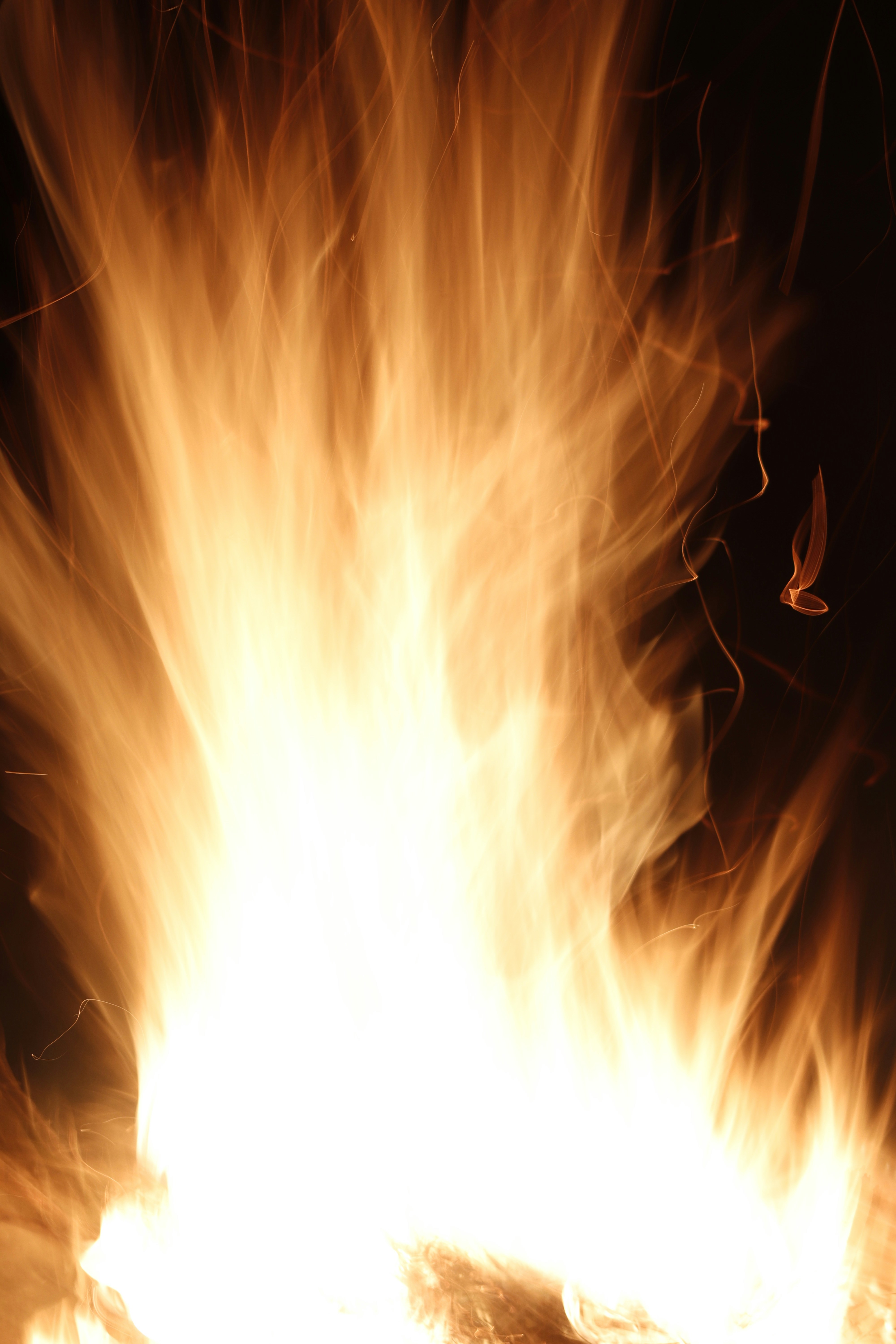 Photo by paphotochic